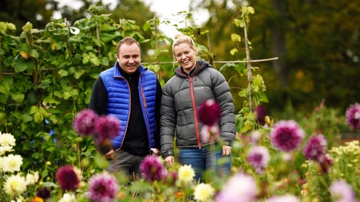 Enjoying autumn colour in the Walled Garden